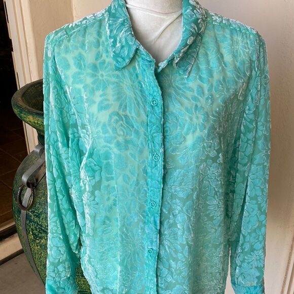 Sheer size 2X long sleeve blouse - Picture 1 of 5